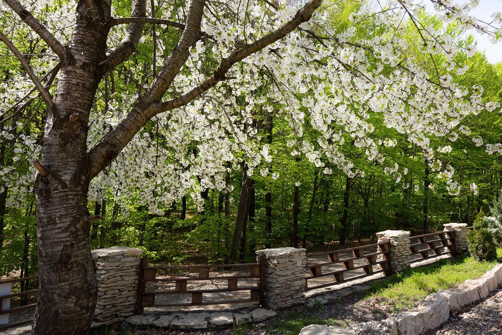 Cetatuia Imprejurimi 7