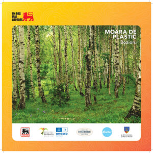 Moara de Plastic Bozioru_P interior_500 x 500mm_6_page-0001